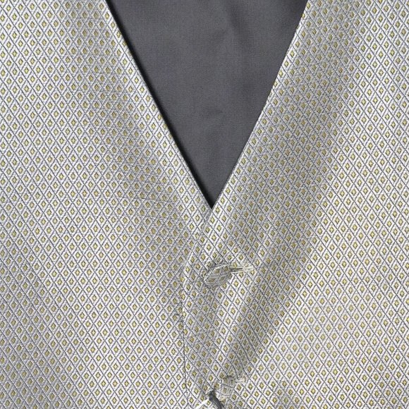 NWT Alan Flusser Patterned Men's Suit Vest & Tie - Picture 4 of 6